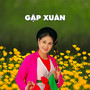 Gặp Xuân