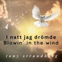 I natt jag drömde / Blowin' In The Wind