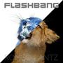 Flashbang (Radio Edit)