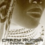 Crazy Rumba (Minimal Afro)