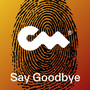 Say Goodbye