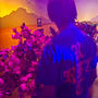 Back Again (feat. Jaywiddak) [Explicit]