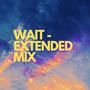 Wait (Extended Mix)