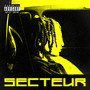 Secteur (Explicit)