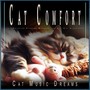 Cat Comfort: Relaxing Purring Moments for All Day Sleep