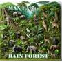 RAIN FOREST