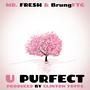 u purfect (feat. BrungFTG) [remix] [Explicit]