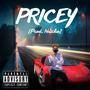 Pricey (Explicit)