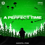 A Perfect Time (TCM Hardstyle Remix)