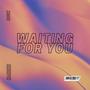 Waiting for You (Extended Mix)