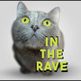 In The Rave (Explicit)