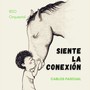 Siente La Conexión (Bso Orquestal)