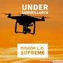 Under Surveillance (Explicit)