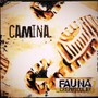 Camina