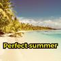 Perfect Summer (Explicit)