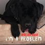 I'm A Problem (Explicit)