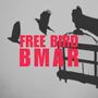 Free Bird