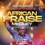 African Praise Medley Live At Arcadia (Live)