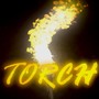 TORCH (Explicit)