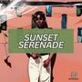 Sunset Serenade (Afro Trap Beat) (feat. BeatsByJamze)