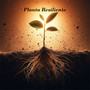 Planta Resiliente