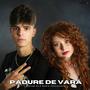 Pădure de vară (feat. Maria Voiculescu)