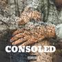 consoled (Explicit)