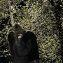 Чувствую послания (Explicit)