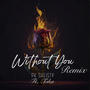 Without You (feat. Taka) [Remix] [Explicit]