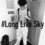 4SKY (feat. LTL Blivk) [Explicit]