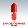 Spinoza Gambit Works