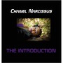 The Introduction (Explicit)