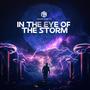 In The Eye of The Storm