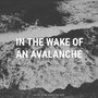 In the Wake of an Avalanche