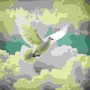 Dove