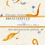 Brescianello: Concerti à 3, Vol. 2