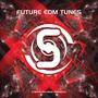 Strayzi Records Presents: Future EDM Tunes Vol. 1