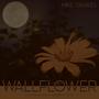 Wallflower