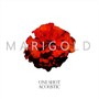 Marigold (One-Shot Acoustic)