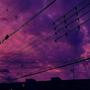 Purple Skies