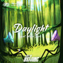 Daylight (feat. Averi Burk)