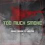 Too Much Smoke (feat. LoelTee) [Explicit]