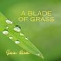 A Blade of Grass