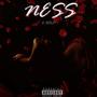 NESS (Explicit)