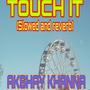 Touch It (Slowed And Reverb) [Explicit]