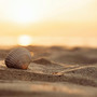 Learning From Life
