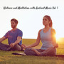 Wellness and Meditation with Ambient Music Vol. 1