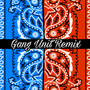 Gang Unit (remix)