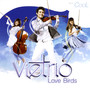 VieTrio Love Birds (Cool)