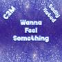 Wanna Feel Something (feat. Sadly Hated)